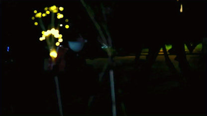 Solar LED Smart Outdoor Lighting for Patios, Gardens, Pathways & Villas