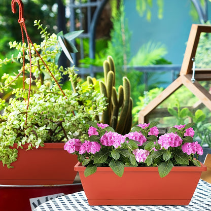 Window Box Planter with Drainage Holes and Trays