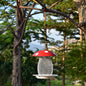 Classic Squirrel-Proof Mushroom Shape Hanging Bird Feeder
