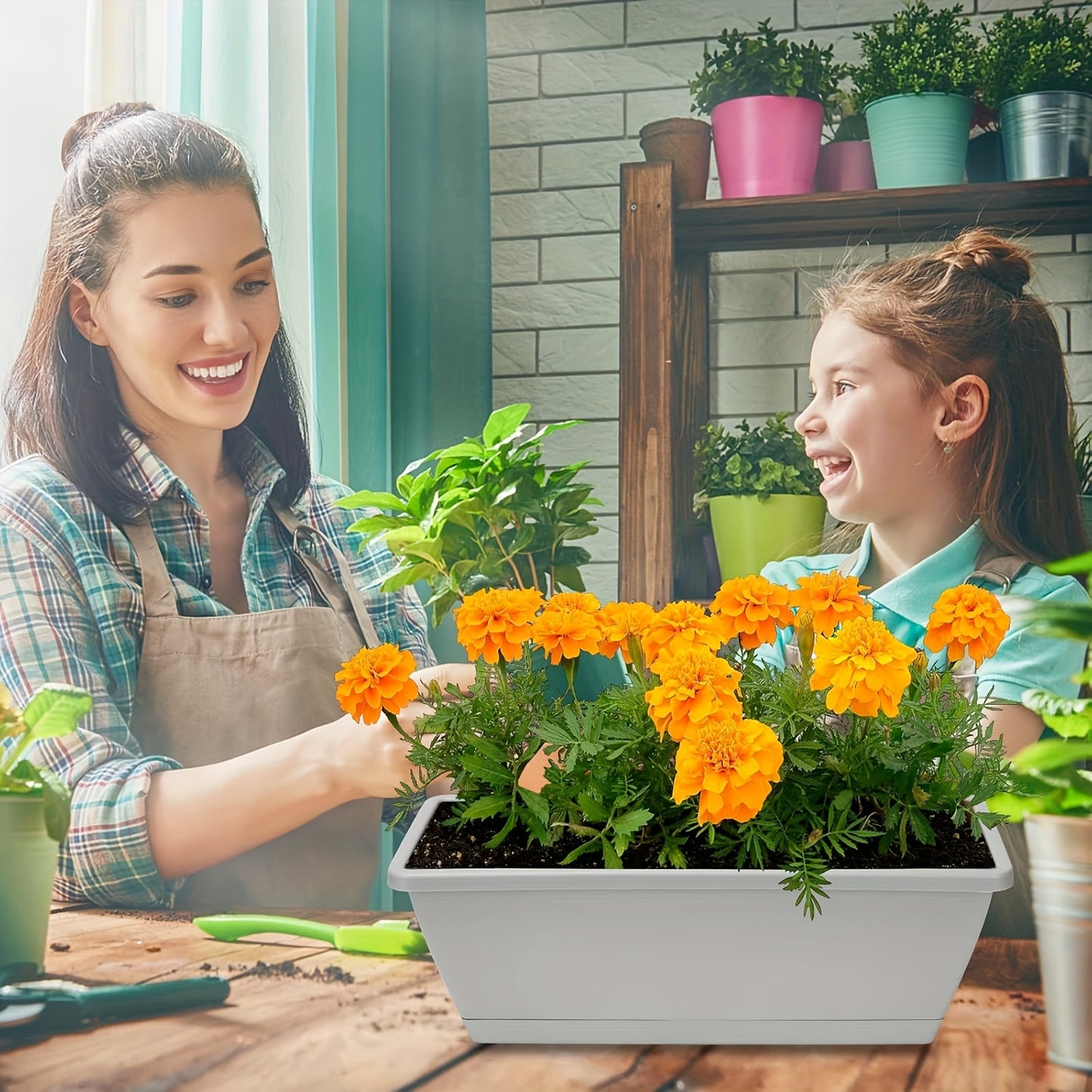 Window Box Planter with Drainage Holes and Trays